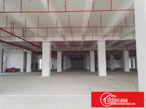 深圳进出口保税仓厂房1000到25000平招租可分