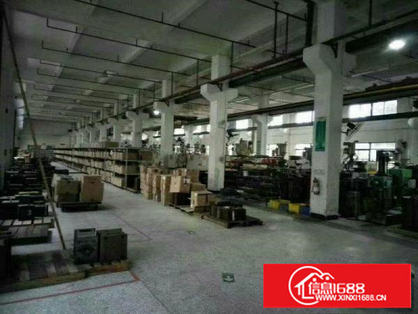 塘厦新出经典小独院3250平方形象好易管理