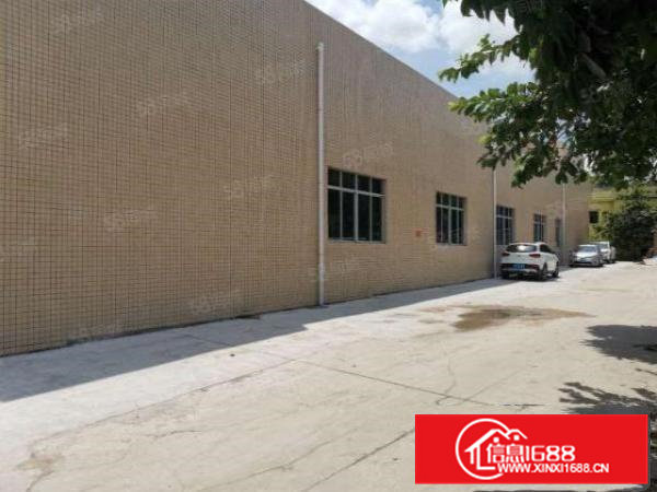 清溪全新独院单一层砖墙6米高厂房2200平招租带牛角