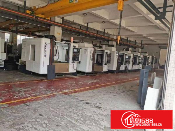 大岭山高速出口附近新出豪华装修1.2楼2500平米招租