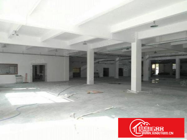 寮步镇泉塘新出厂房一楼1200平方，适合行各业