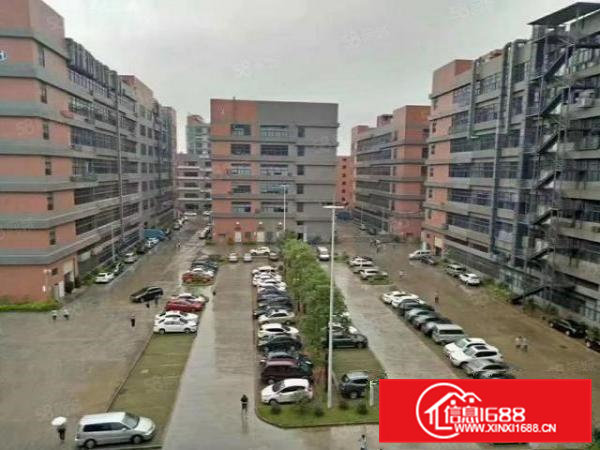 金凤凰一楼3200平出租