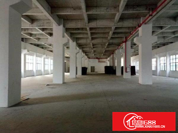 常平新出独院厂房6000平米带装修出租
