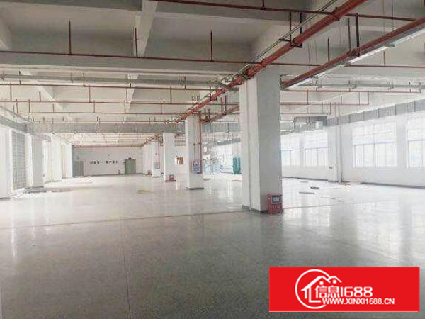 万江标准工业园二楼3000方有装修的厂房配有三吨电梯。厂房内