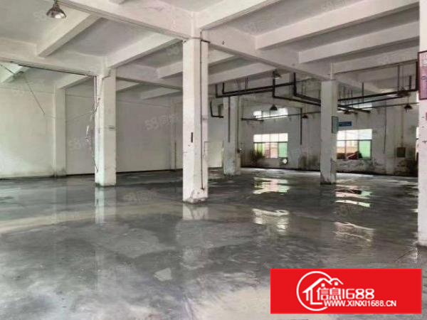 沙井后亭宝安大道边独门独院一楼1600平