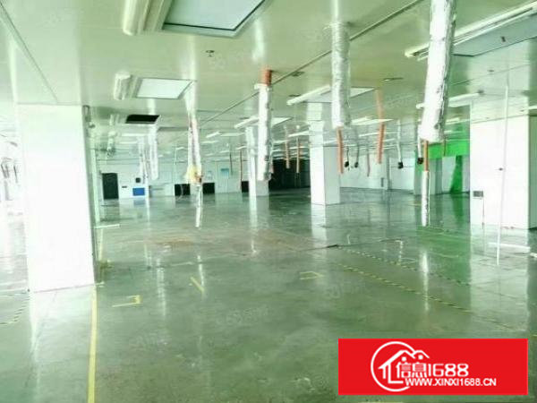 长安沙头三楼无尘车间2000平，13元一平，拎包入住