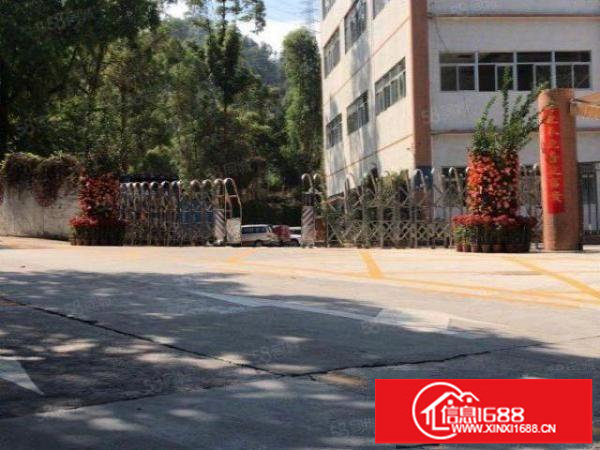 南岭龙山工业园2000平方厂房业主直租