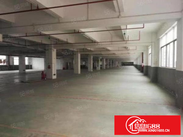 观澜小独院3层2500平报价24实际面积空地超大轻轨口好招工