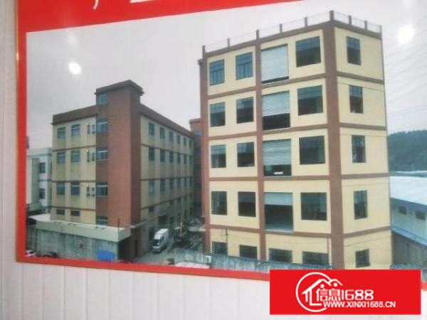 高黎工业园红本厂房主干道边大小可分租行业不限制