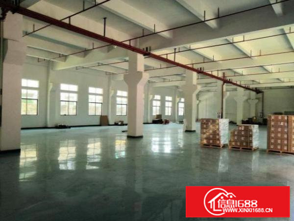 横沥镇原房东出租独院标准一楼带牛角位带自流水地坪漆