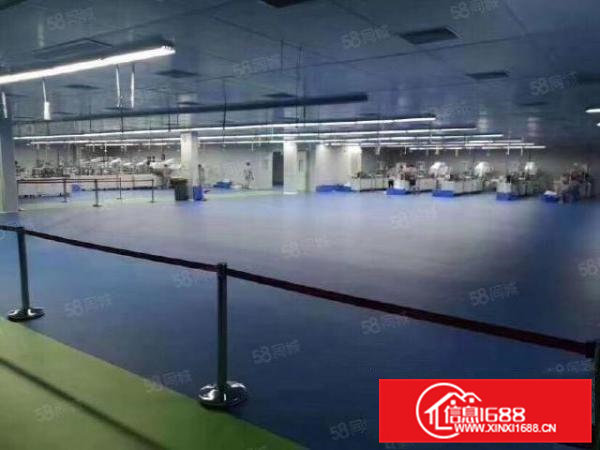 清溪三中新出原房东二楼2000平方带豪华装修急租