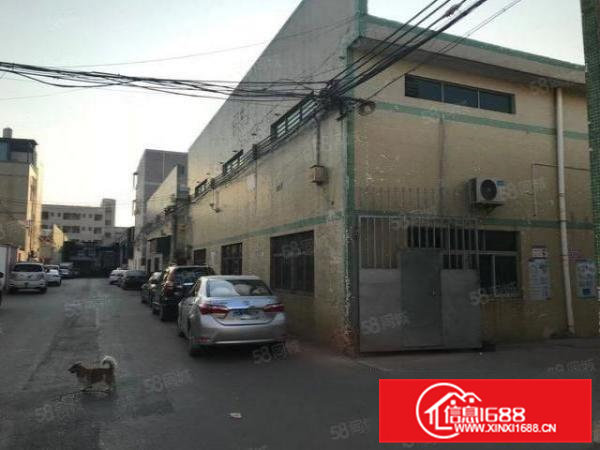 大岭山镇大塘新出500平单一层钢构厂房仓库出租，带三间宿舍