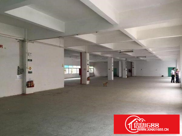 坪山碧岭厂房3楼1800平米出租独立电梯带红本