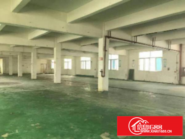 万江新出标准厂房分租楼上1200平方带地坪漆出租