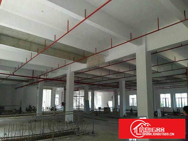 三栋镇工业园独栋一楼1100平米厂房出租空地大