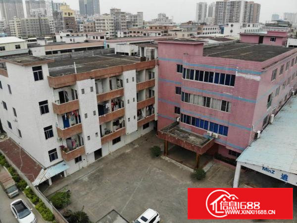 3800平方原房东独院标准厂房出租