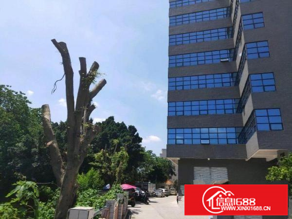 里水佛山一环全新厂房10425平米大小分租