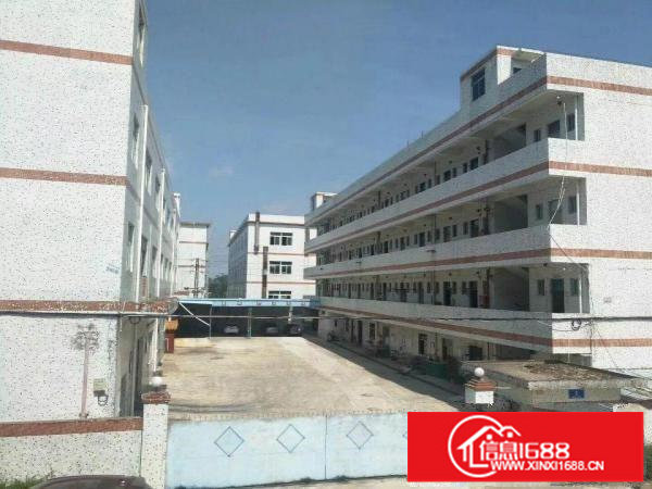 坪山石井工业区独门独院三层厂房及宿舍5500平招租