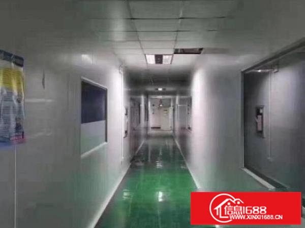 龙岗吉祥地铁口拎包入住