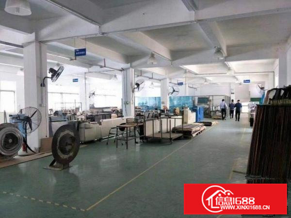 大朗水口新出标准厂房一楼1000方，可办环评价格15元