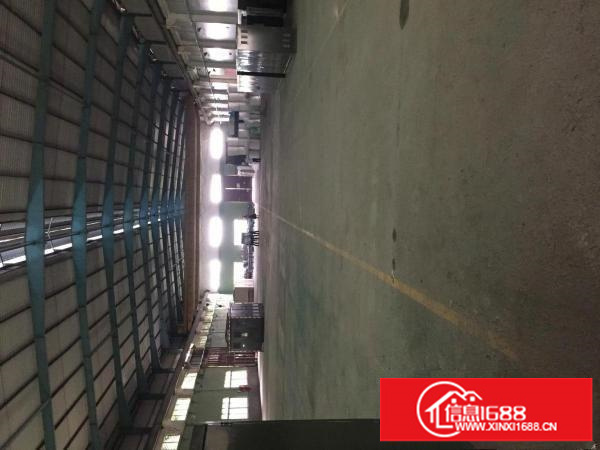 坪山石井新出层高7米钢构厂房3500平出租