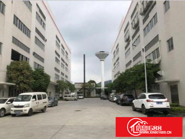 福永桥头村一楼标准厂房出租500平，高6米