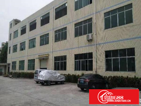 新圩花园式厂房一楼600平方可做污染