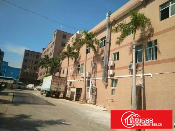 惠阳秋长原房东厂房一楼300平三楼600平招租