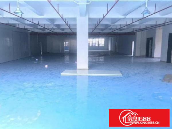 工业用地全新装修带消防喷淋拎包生产