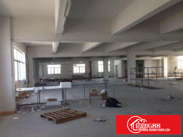 龙岗区五联楼上800平方米标准厂房出租