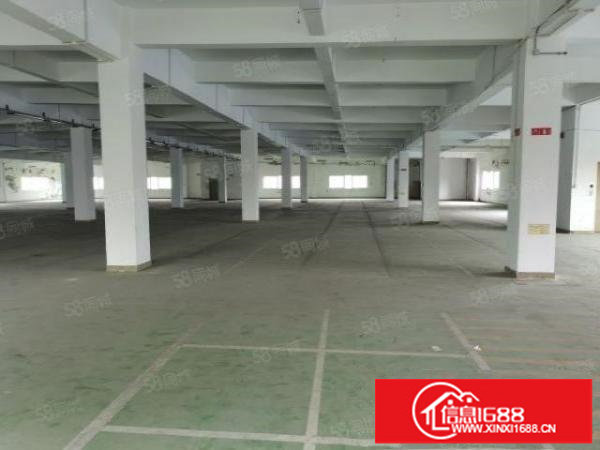 龙华新区大浪中心区13000平独院原房东出租