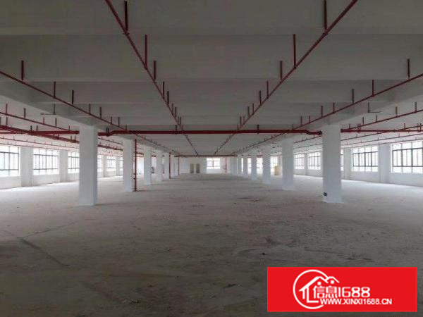 惠东江高新区附近独栋厂房8300平方出租