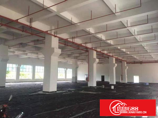 常平镇标准独院厂房约14500平方出租