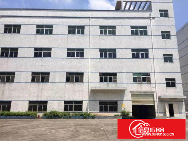 龙岗中心城独门独院厂房5000平米可分租