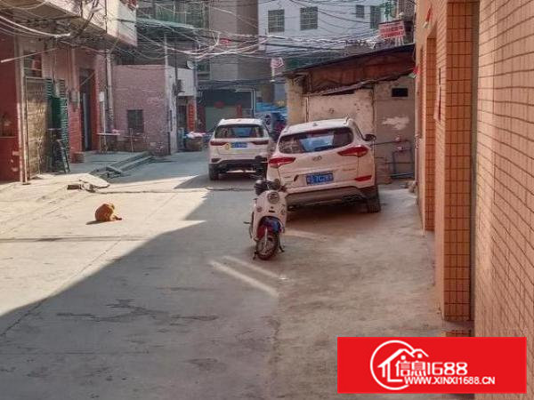 新建厂房，4层半，可停放小车，水电费乙方交。