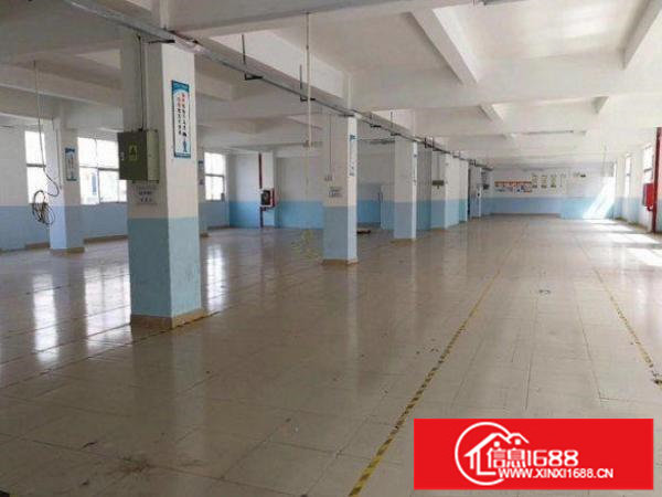 出租龙岗区平湖楼上1500平原房东豪华装修厂房