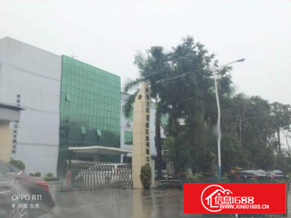 沿江高速长安厦岗原房东红本独院1000平起分租不堵车