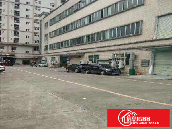 龙岗区龙岗地铁站旁电商园500平方精装修出租可分租