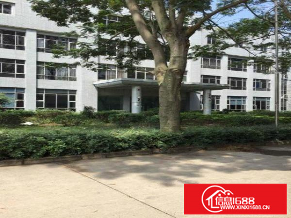 大亚湾独门独院15米高单层厂房11000平方米招租