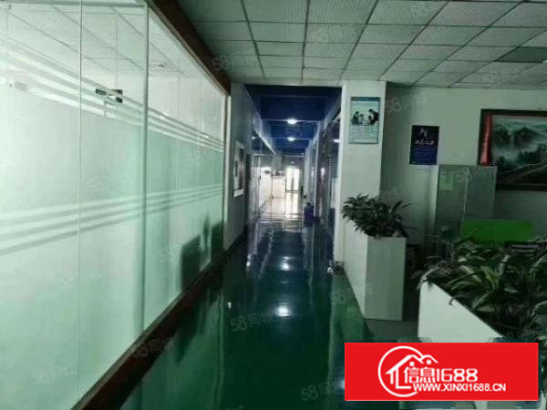 沙井共和原房东独院厂房14层6600平带行车