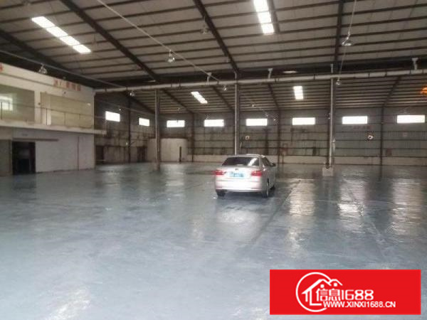 惠阳新圩新出2000平方钢构