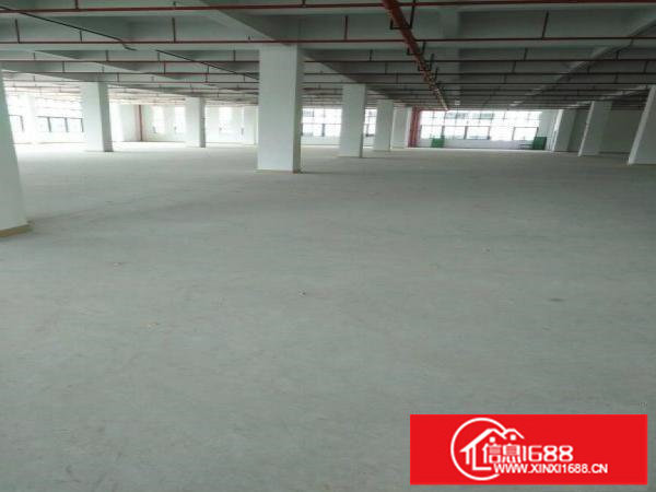 平湖唯一原房东厂房一楼2000平米出租急急急可分租