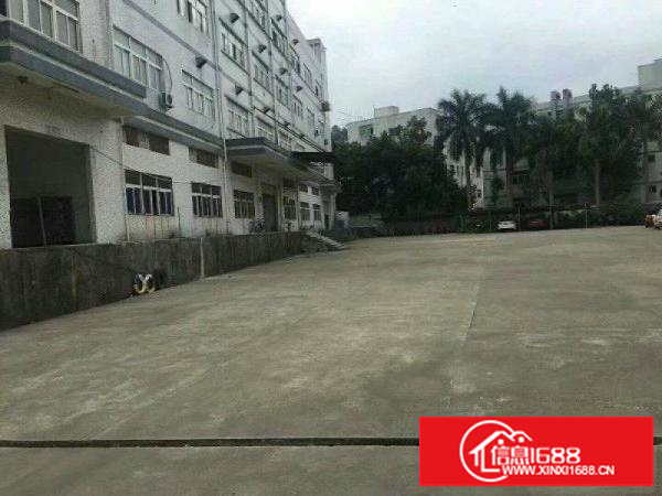 龙岗新生新出一楼标准厂房650平底价出租