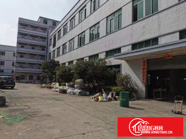 企石镇原房东独院标准厂房出租