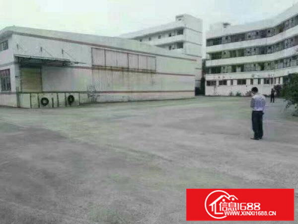 坪地新出独院钢构厂房出租可分租