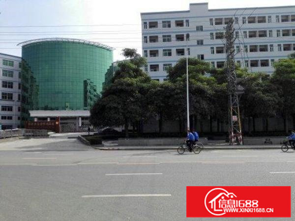 全新厂房，单层面积2000，形象，小可分1000