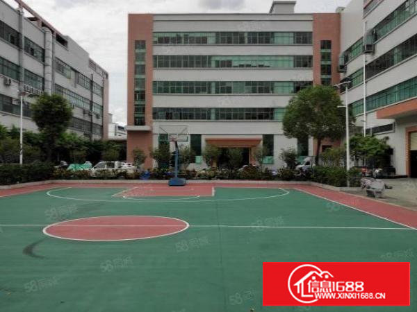 谢岗原房东高大尚标准楼上整层厂房900平方出租