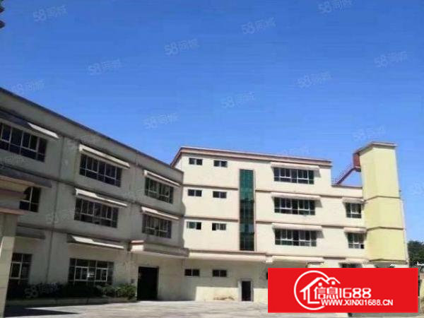 大井头自家1800平厂房11全包精装修