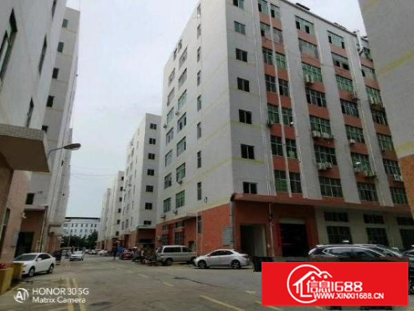 金凤凰楼上1200平出租