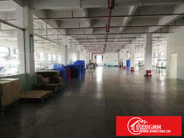 博罗福田楼上整层1800平方带精装修可分租